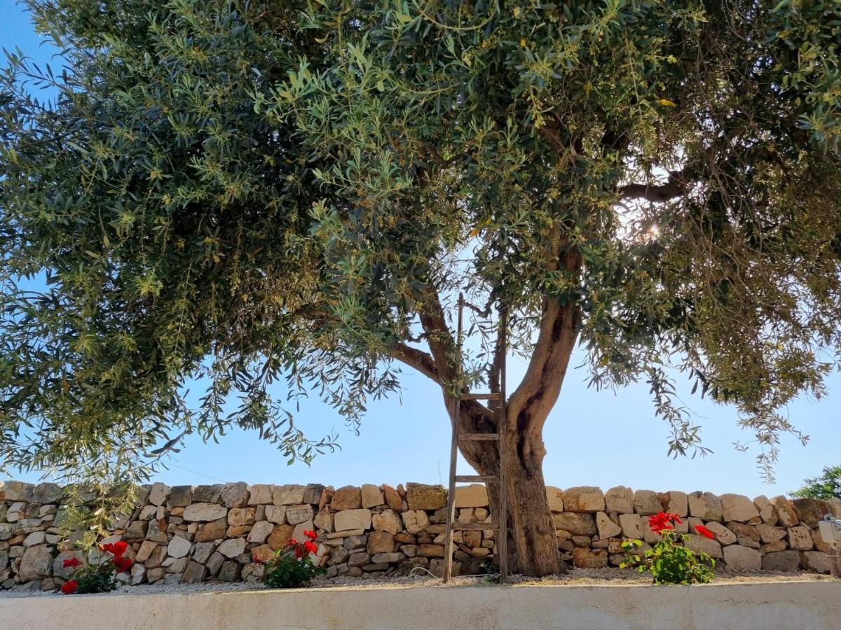 Bei Tempi Villa Polignano a Mare Kültér fotó